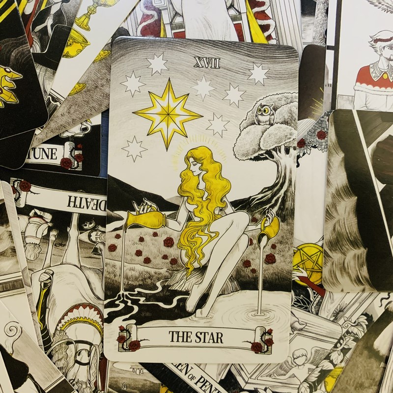 Secret Mirror Tarot kaarten 80 - Tarot Deck With Guidebook recensie en prijs